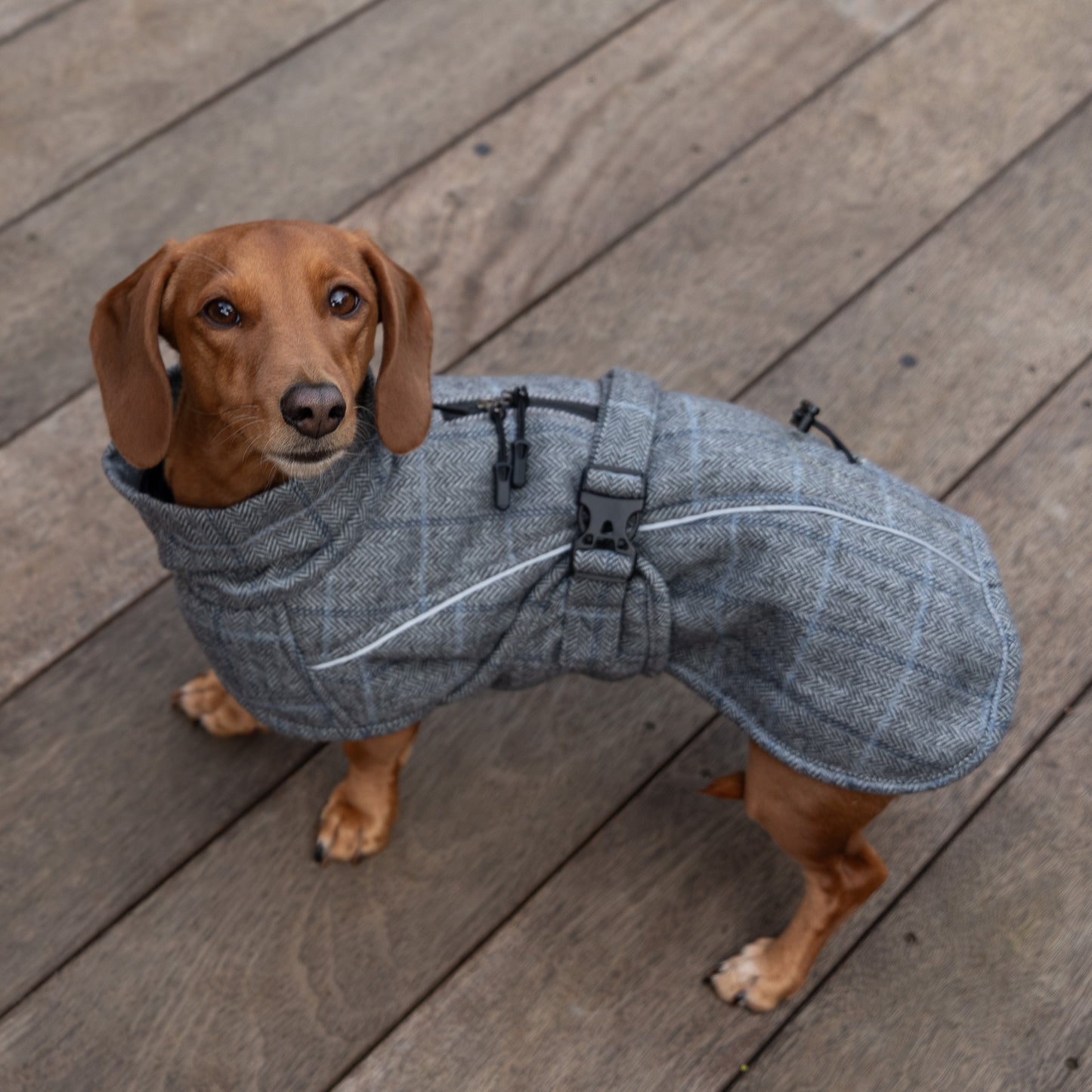 Wool-Blend Jacket
