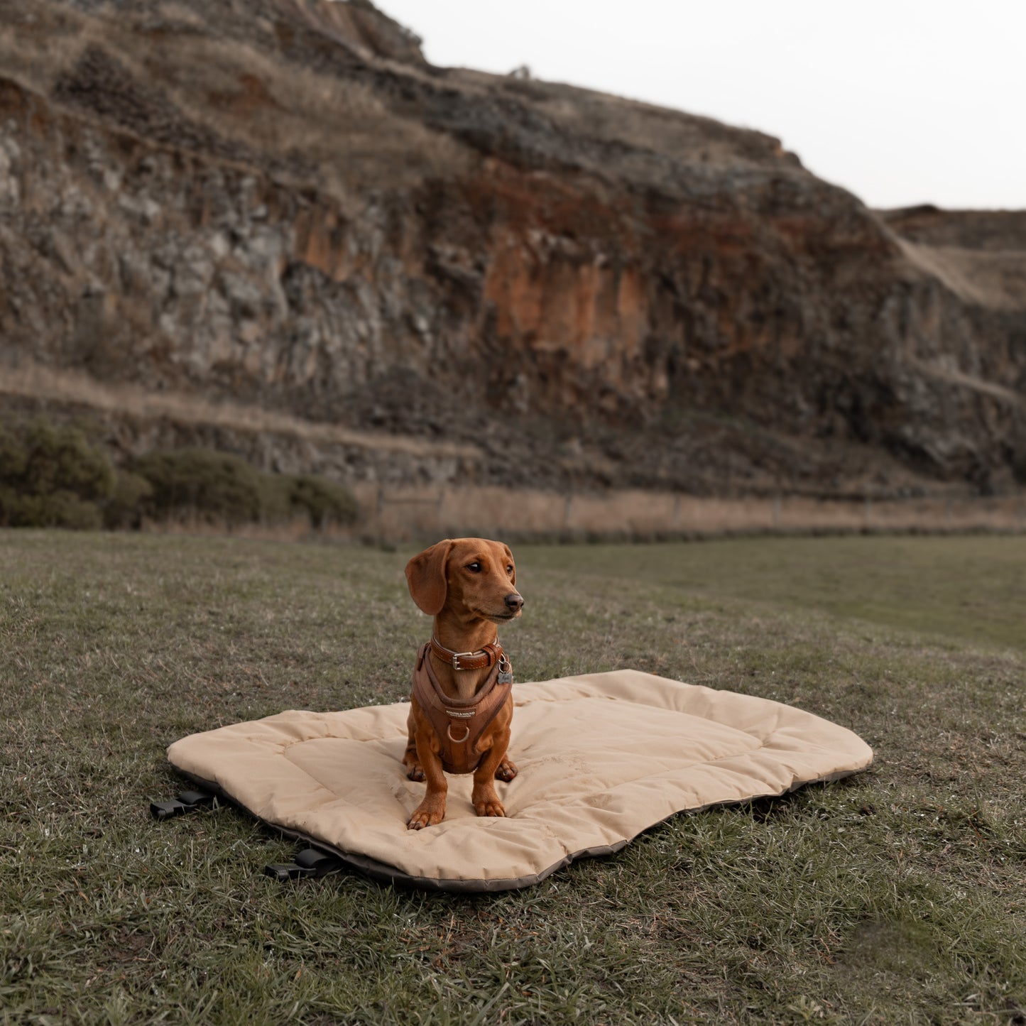 Oxford Travel Mat