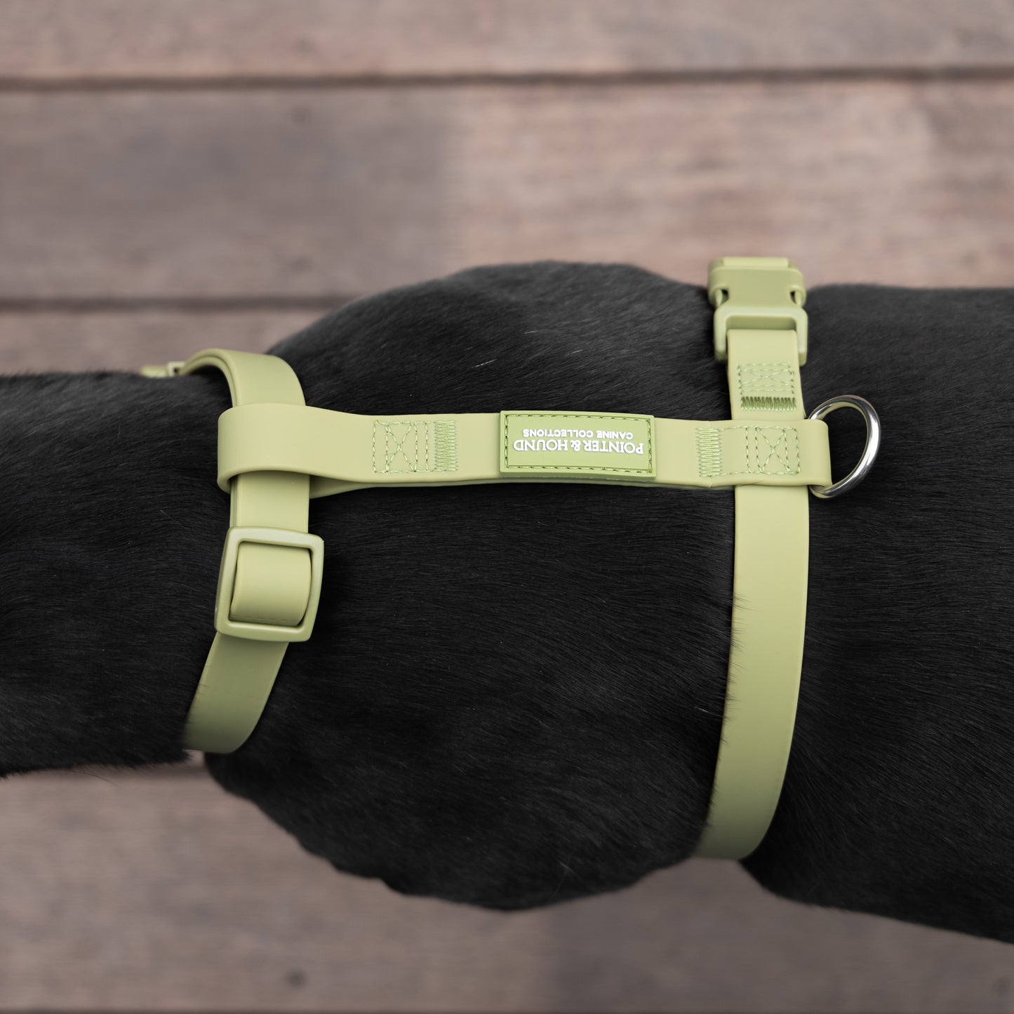 Waterproof H Strap Harness - Green