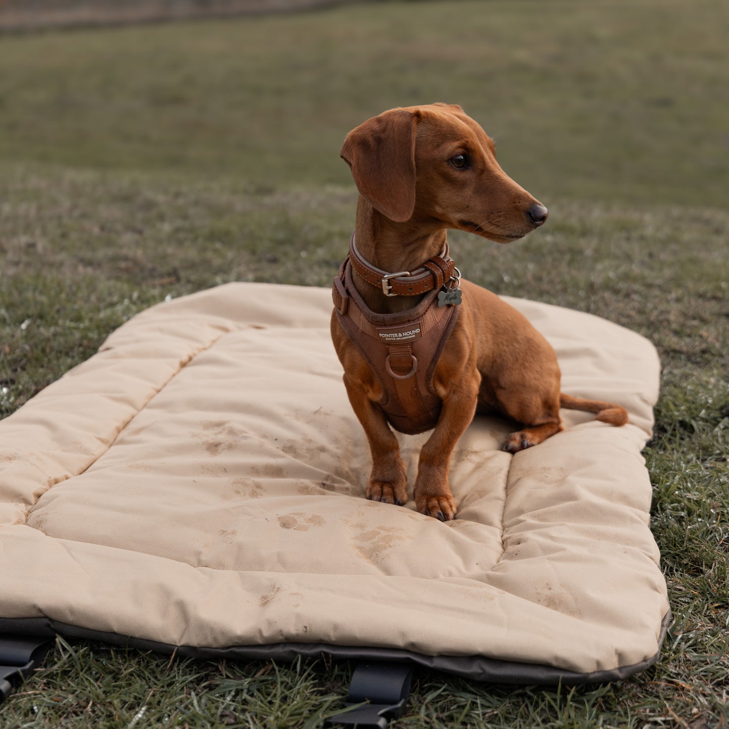 Oxford Travel Mat