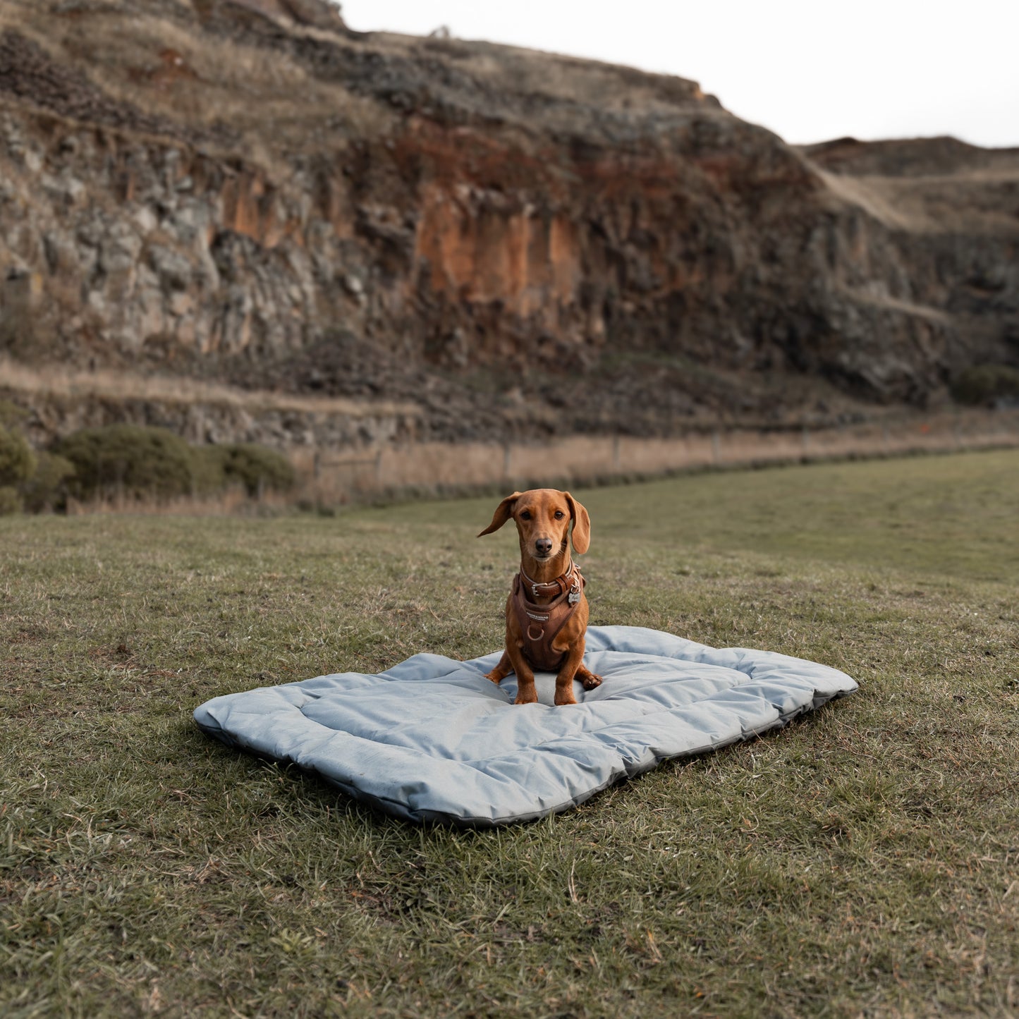 Oxford Travel Mat