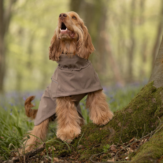 Waterproof Jacket - Mushroom