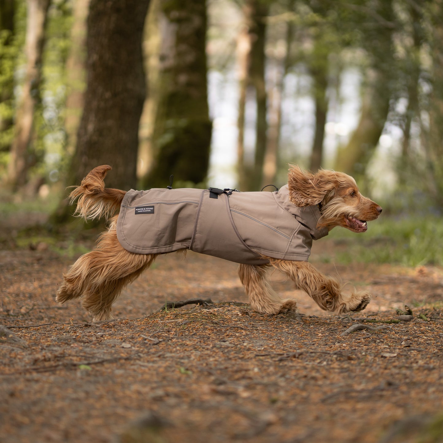 Waterproof Jacket - Mushroom