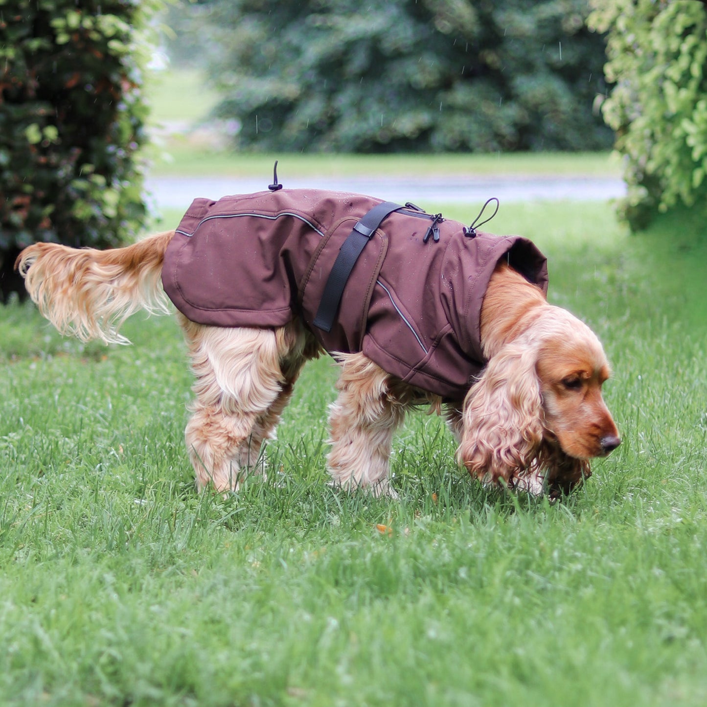 Waterproof Jacket - Maroon Brown