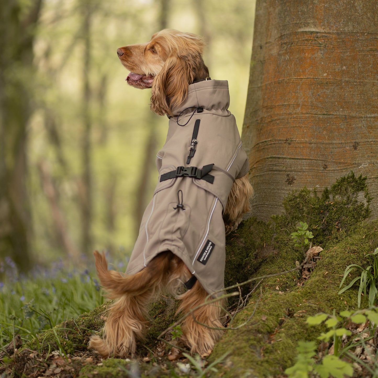 Waterproof Jacket - Mushroom
