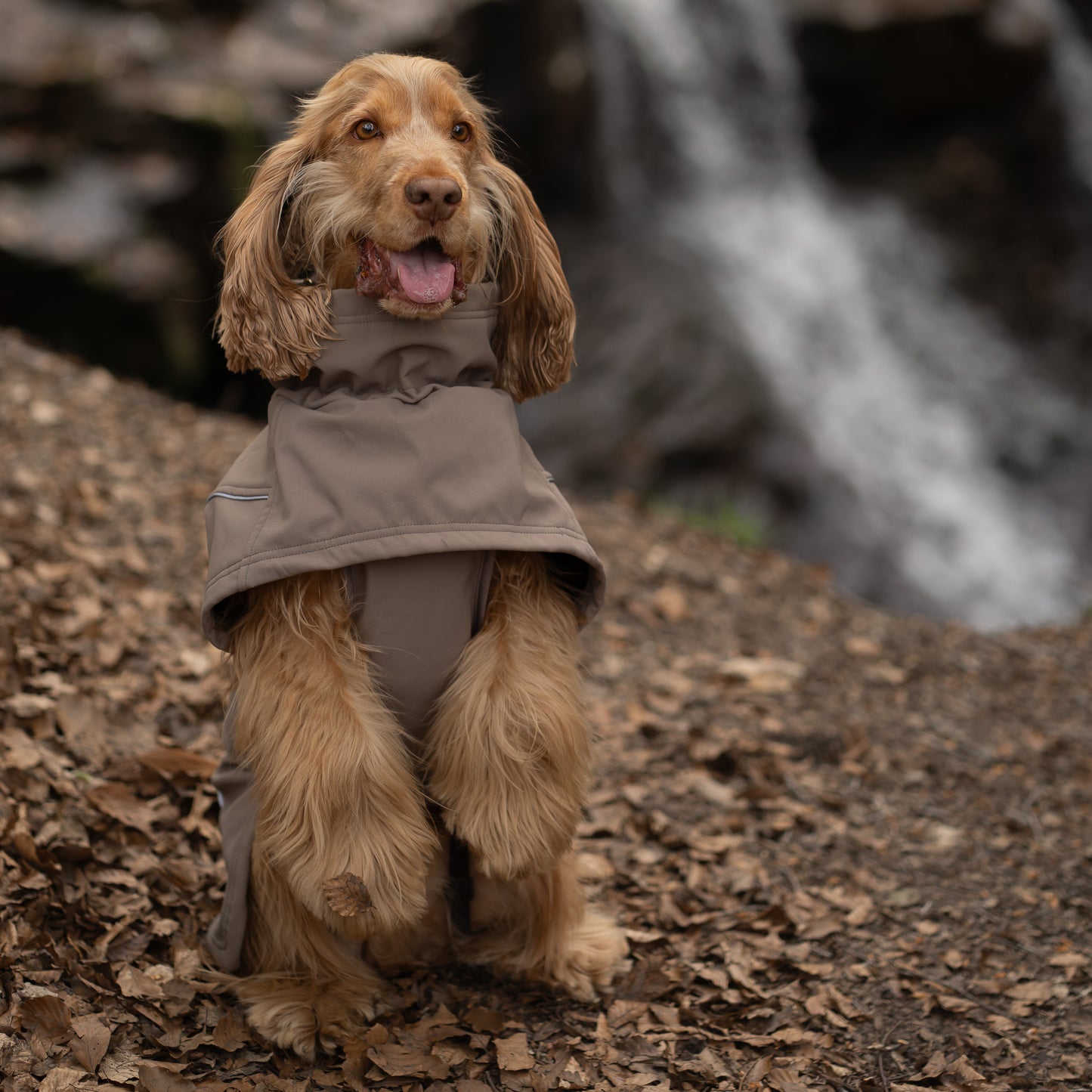 Waterproof Jacket - Mushroom