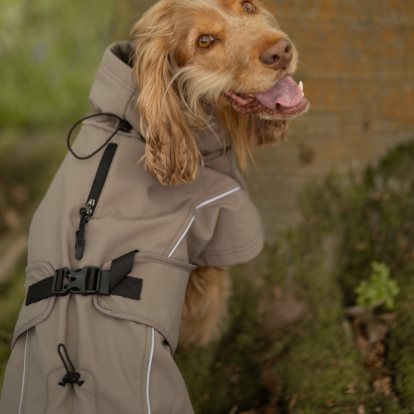 Waterproof Jacket - Mushroom