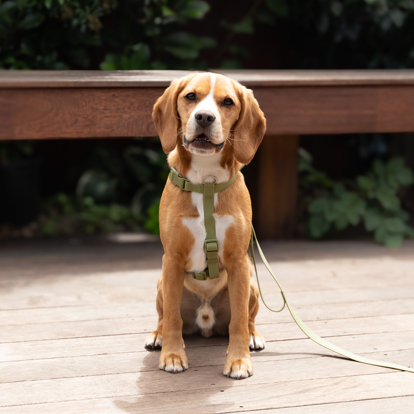 Waterproof H Strap Harness - Green