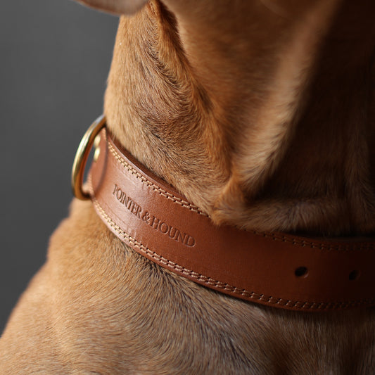 Luxe Leather Collar - Tan