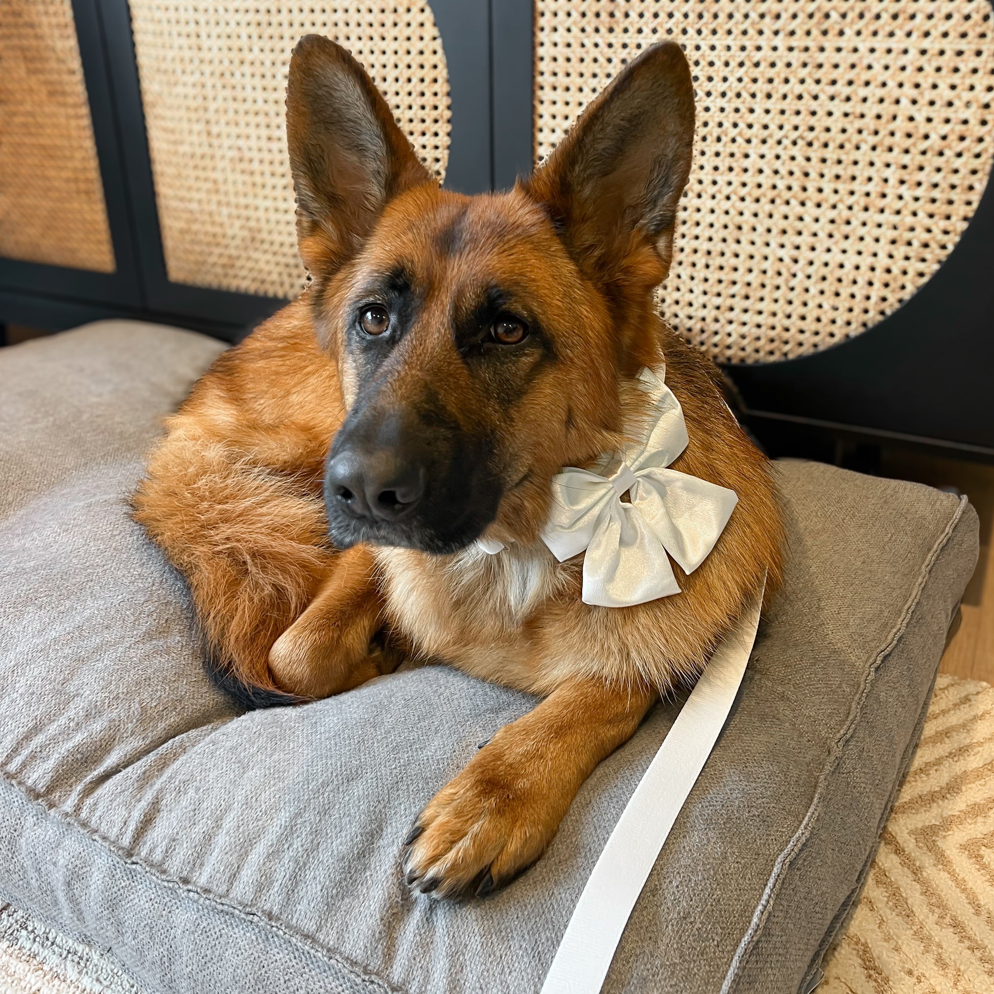 Wedding Set - White Bow