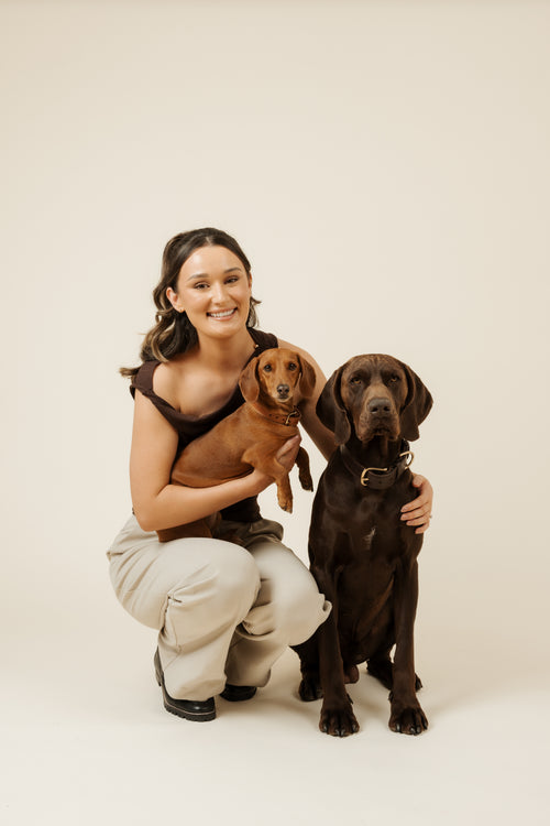About Us – Pointer & Hound
