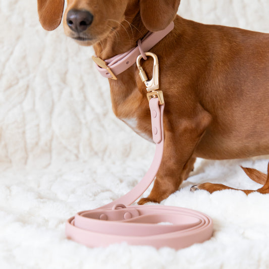 Waterproof Collar + Leash Combo - Blush Pink