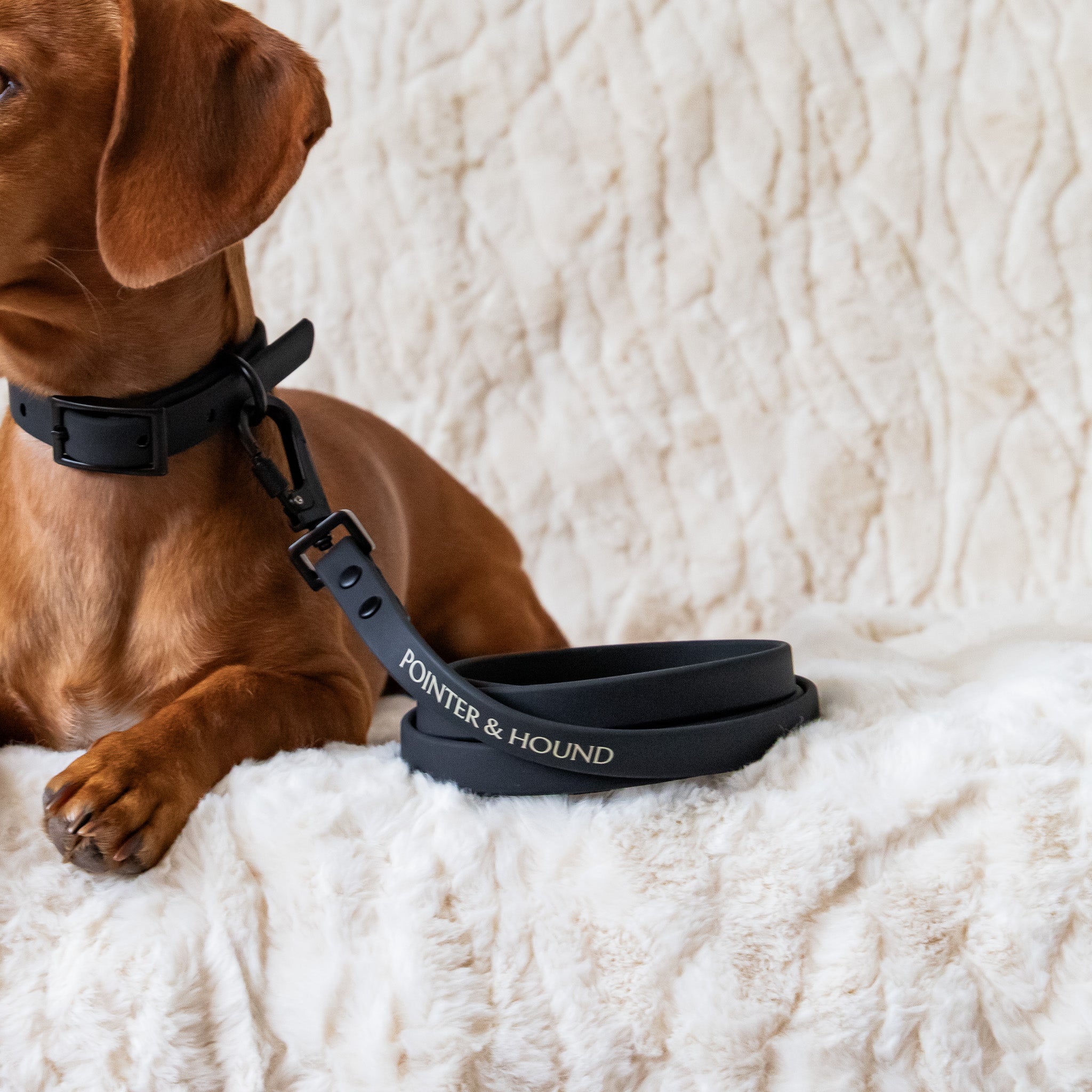 Waterproof Leash Black Pointer Hound