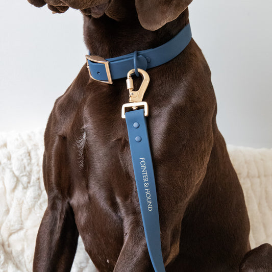 Waterproof Collar + Leash Combo - Blue