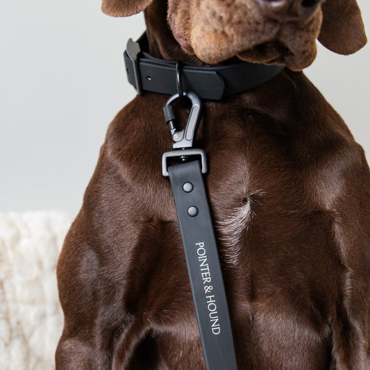 Waterproof Collar + Leash Combo - Black