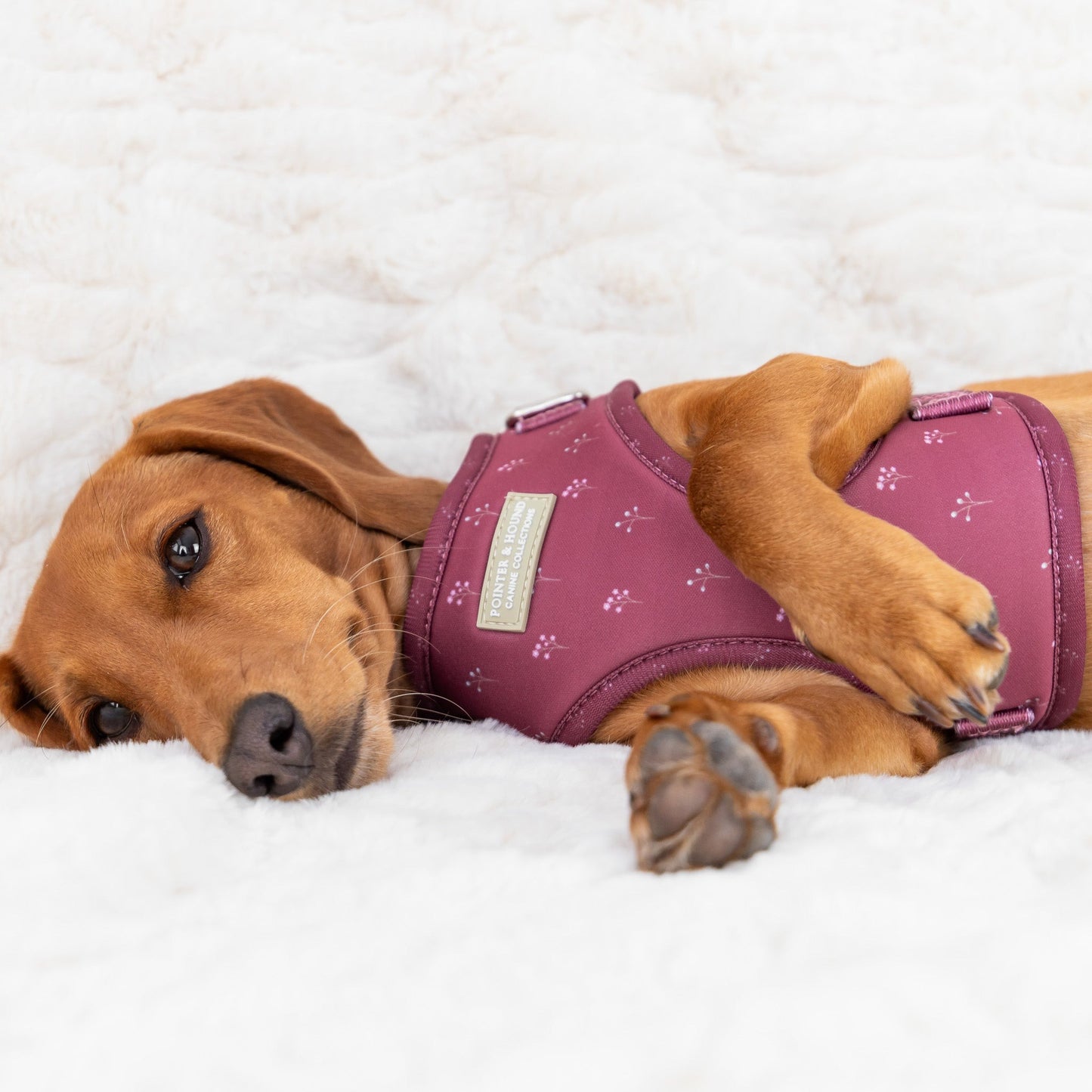 Classic Harness - Flower Print