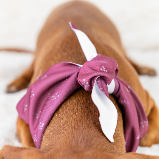 Bandana - Flower Print