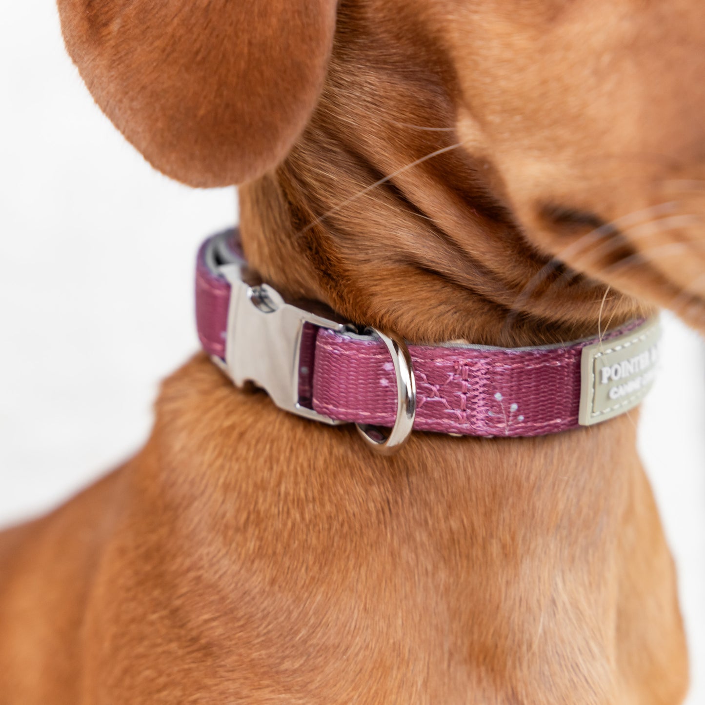 Fabric Collar - Flower Print