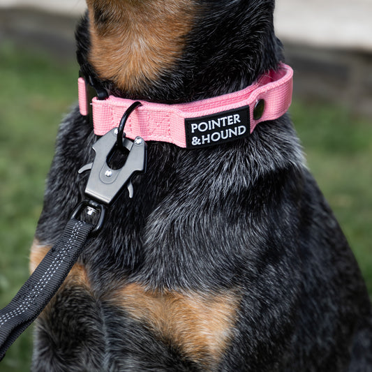 Tactical Collar - Pink