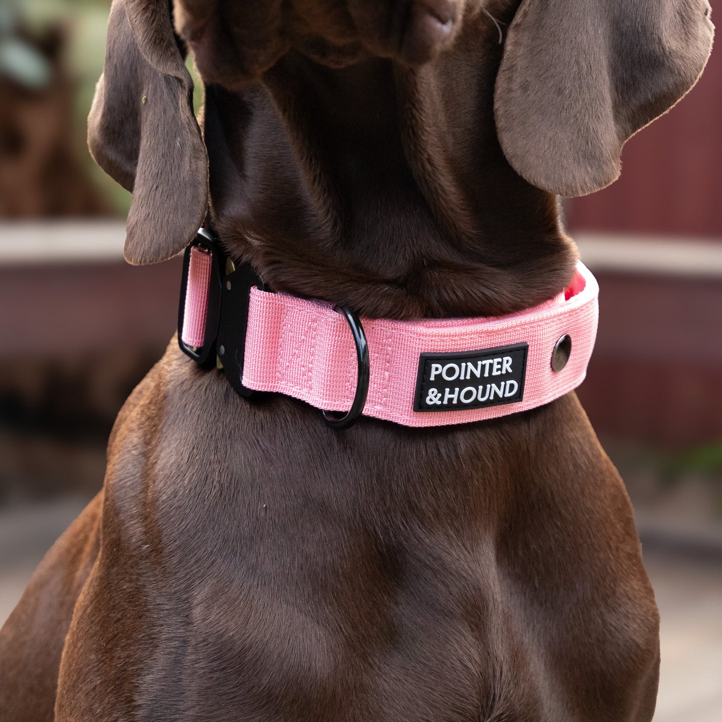 Tactical Collar - Pink