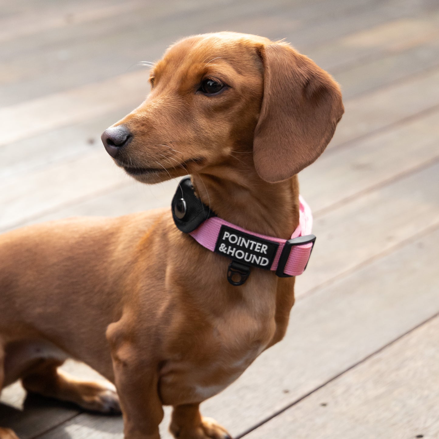 Tactical Collar - Pink