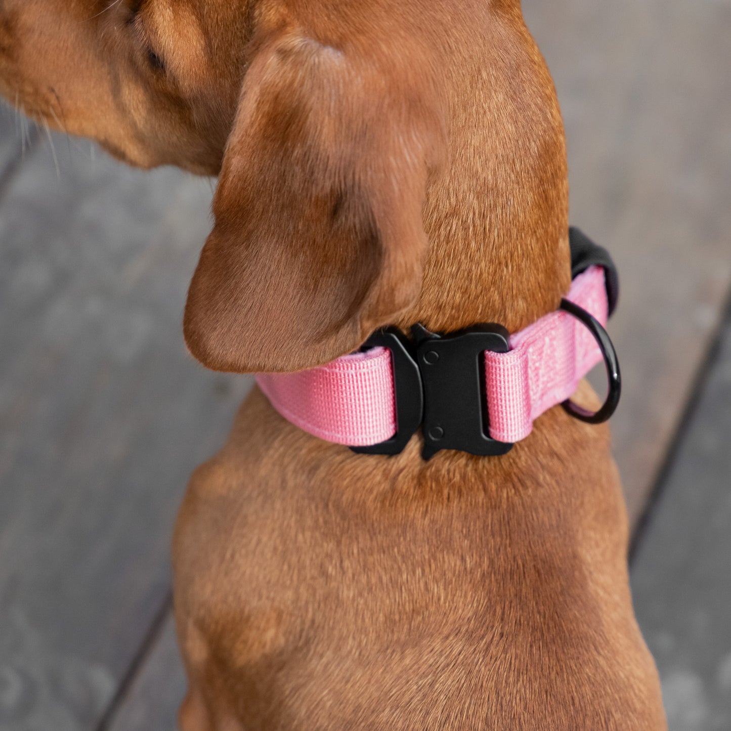 Tactical Collar - Pink