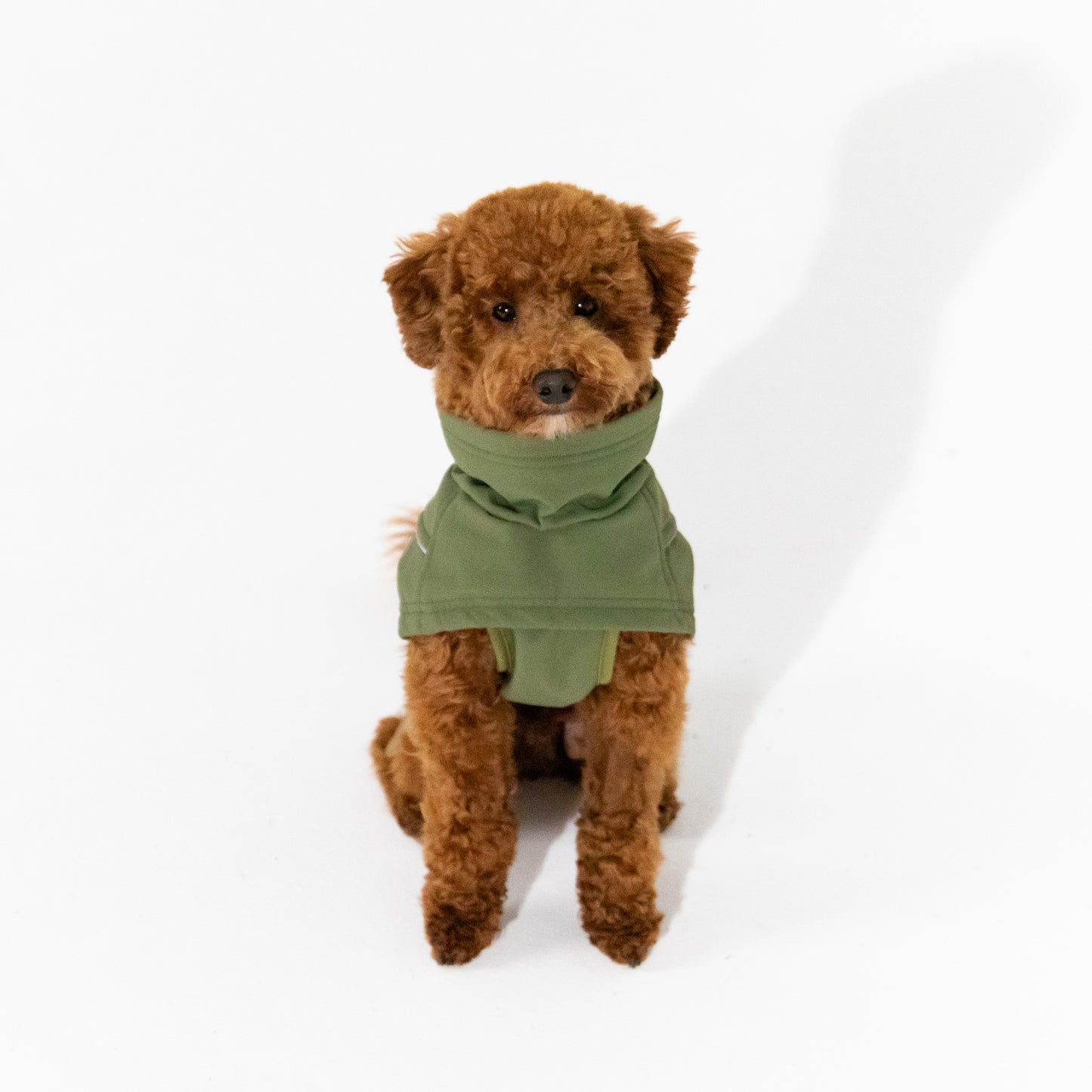 Waterproof Jacket - Green