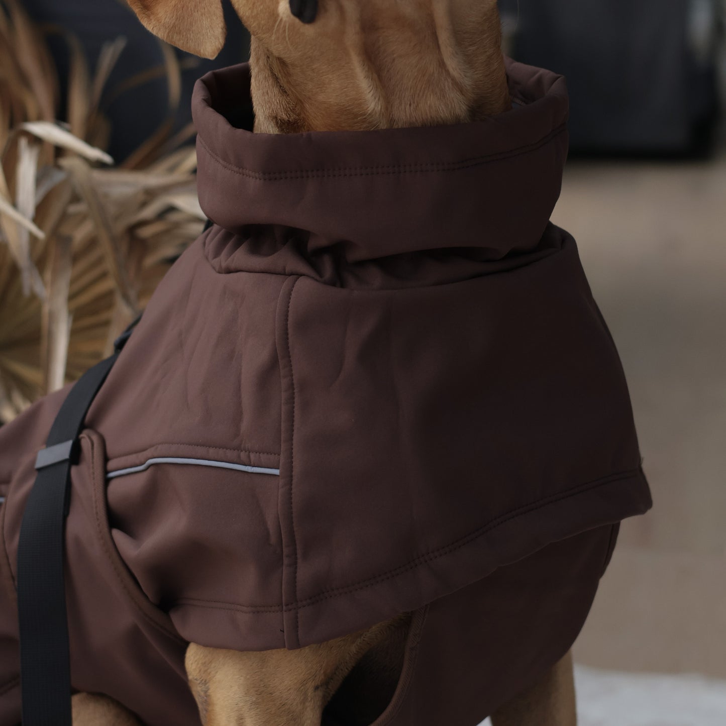 Waterproof Jacket - Maroon