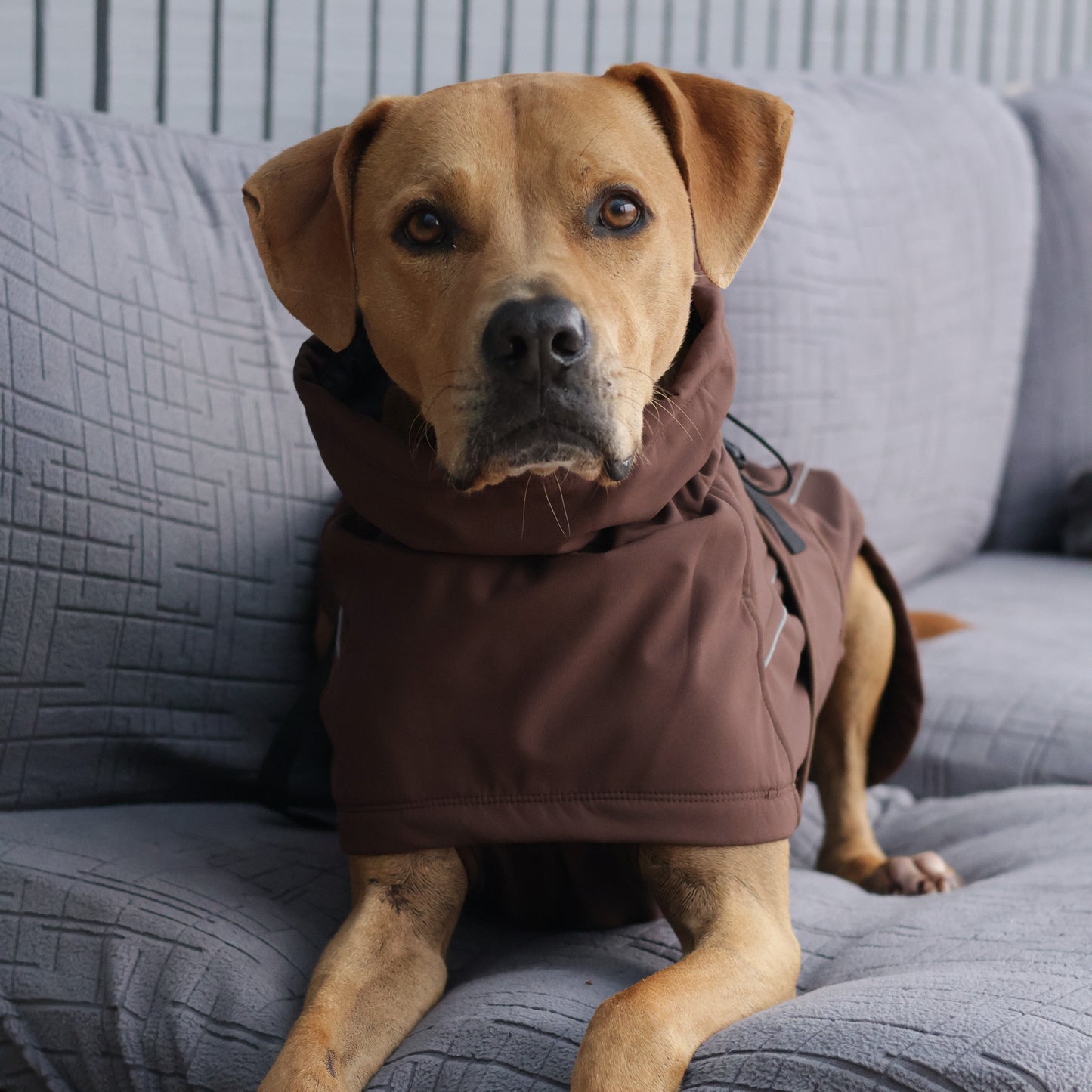 Waterproof Jacket - Maroon