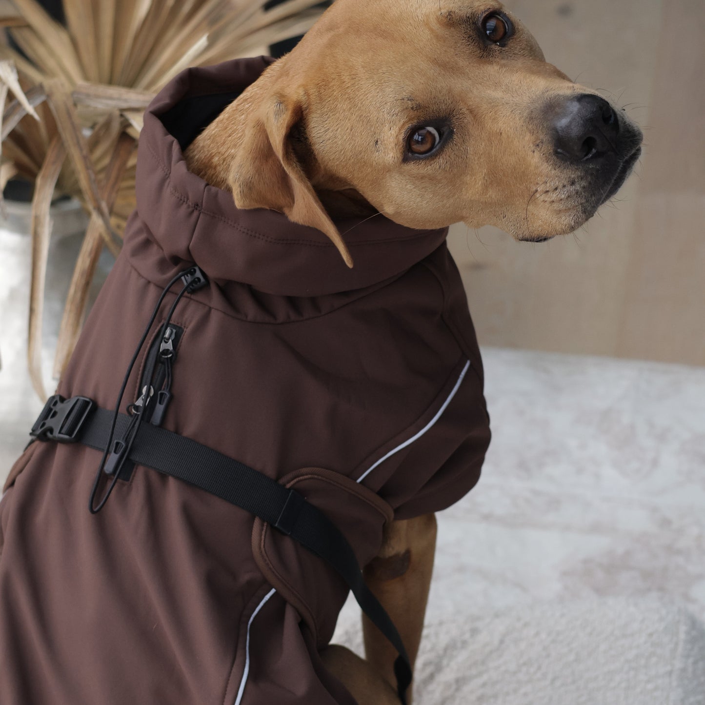 Waterproof Jacket - Maroon