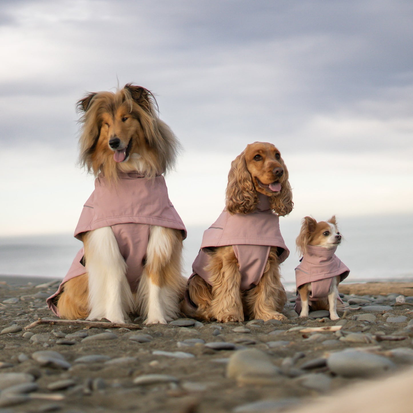 Waterproof Jacket - Pink