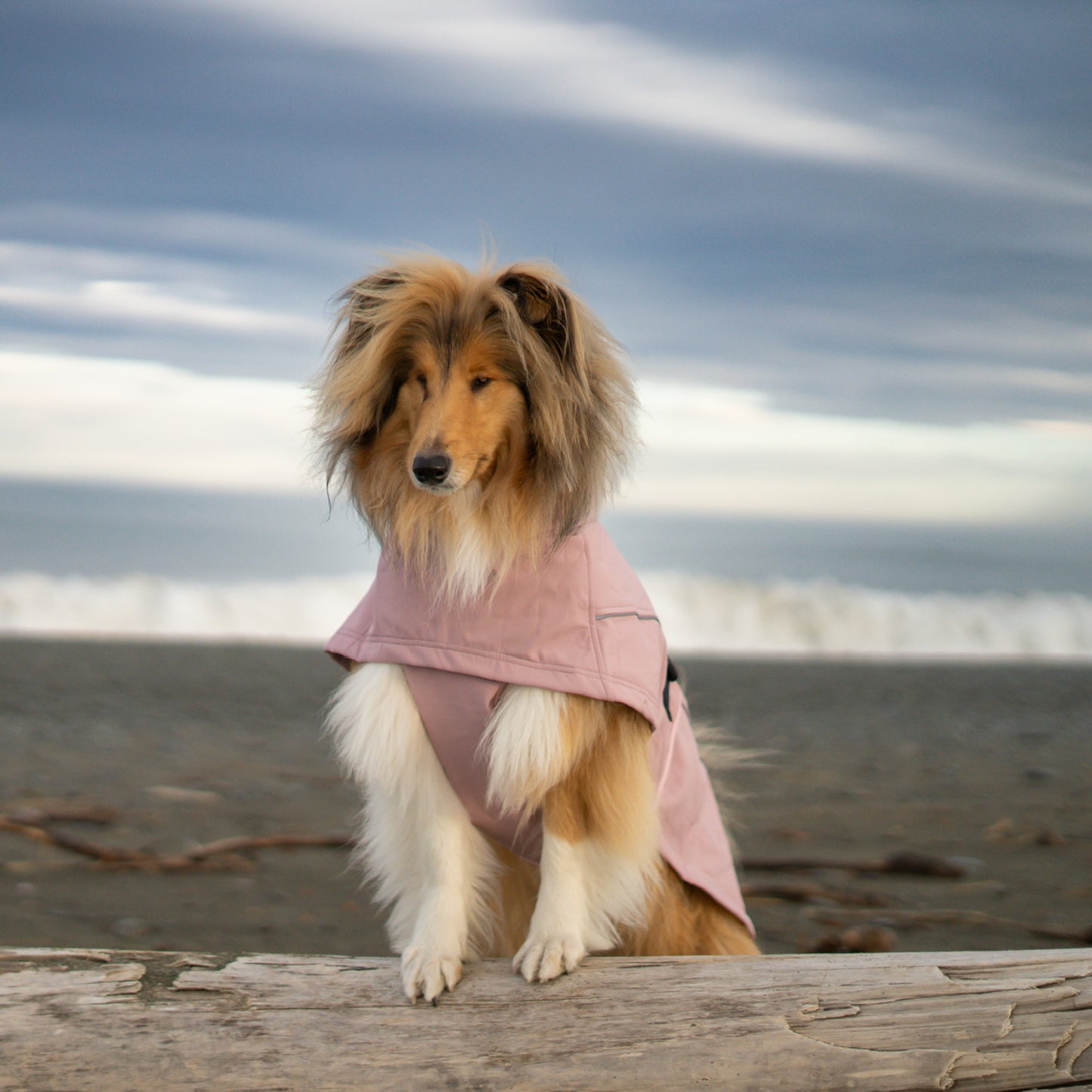 Waterproof Jacket - Pink