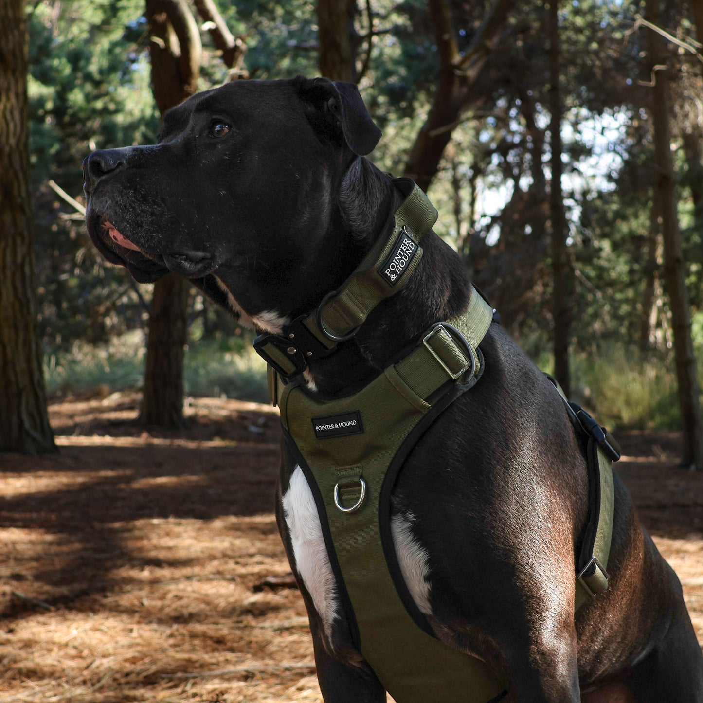 Tactical Harness - Army Green