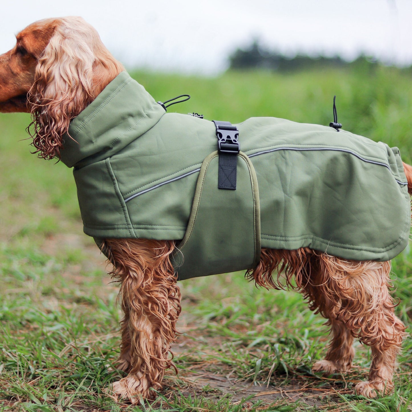 Waterproof Jacket - Green