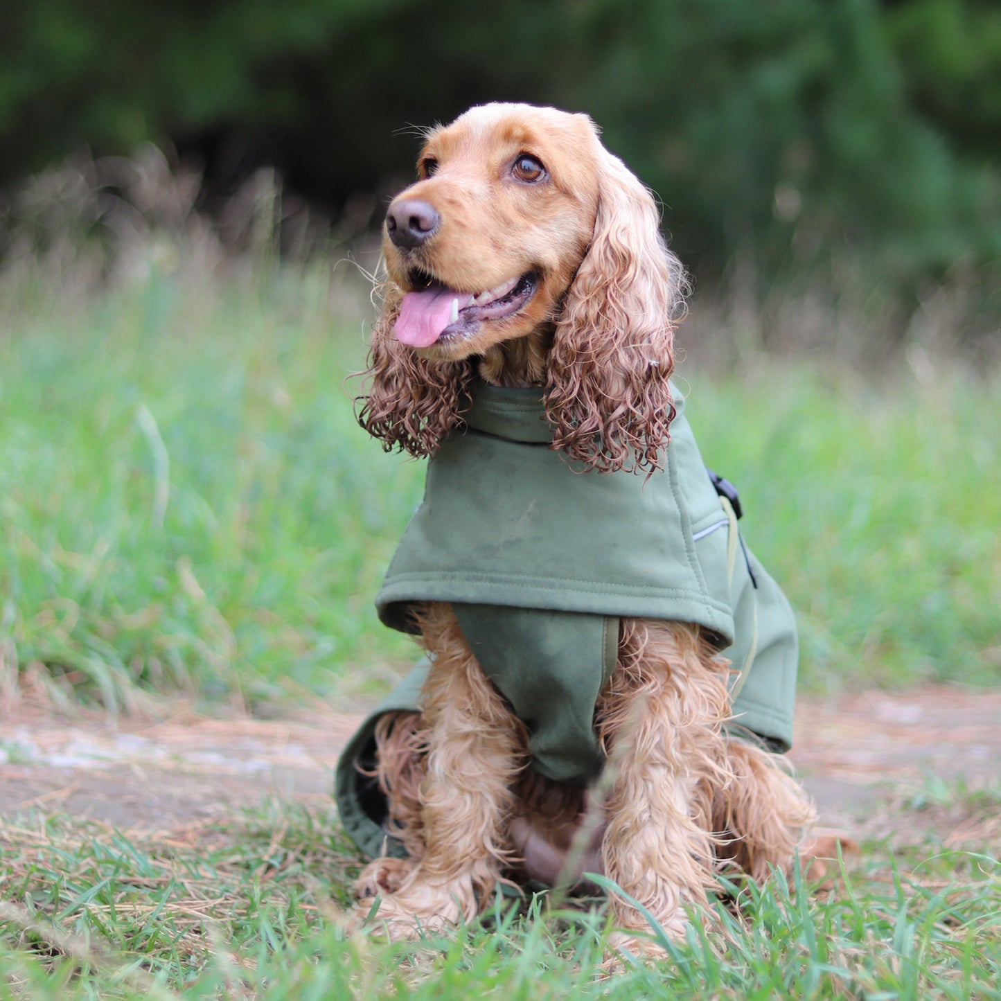 Waterproof Jacket - Green