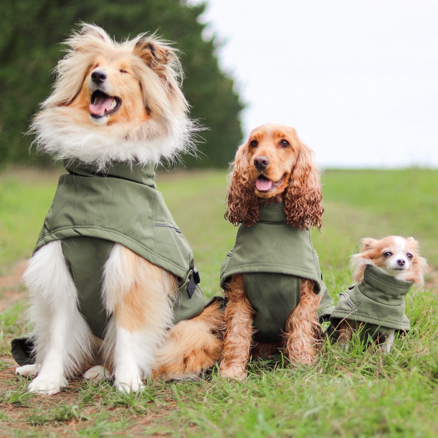 Waterproof Jacket - Green