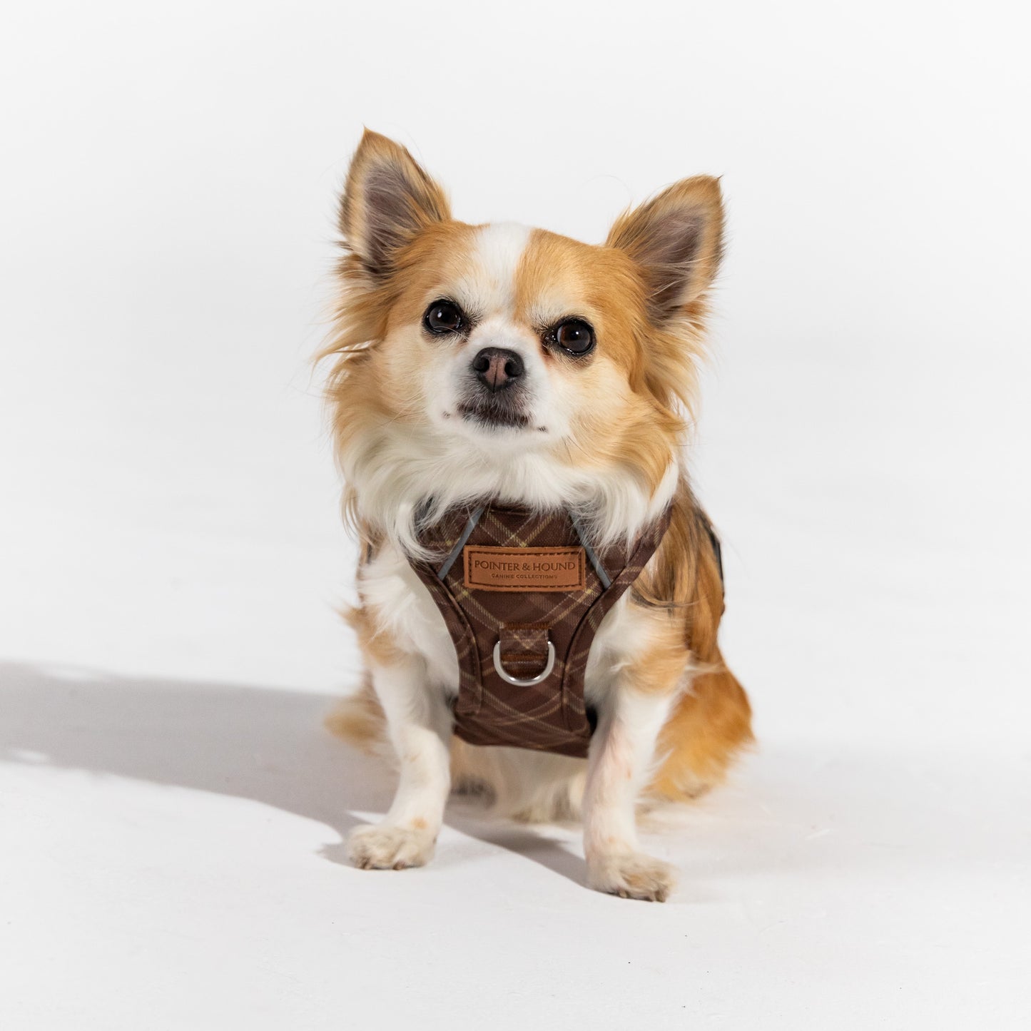 Signature Harness - Brown Tartan