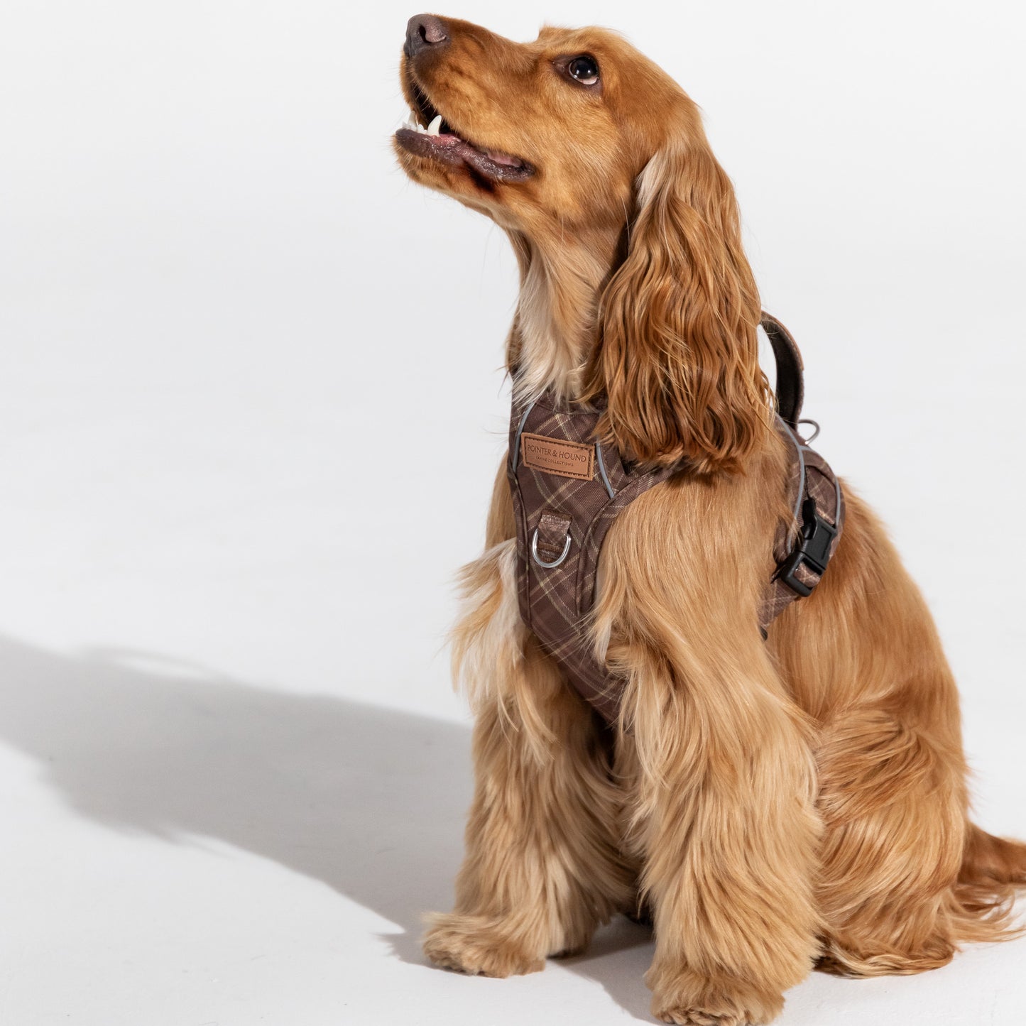 Signature Harness - Brown Tartan