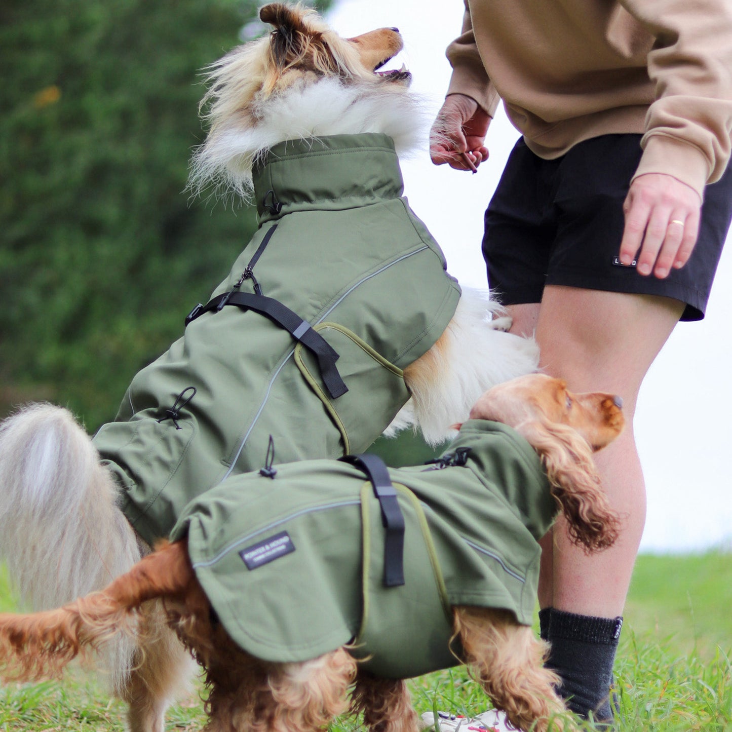 Waterproof Jacket - Green