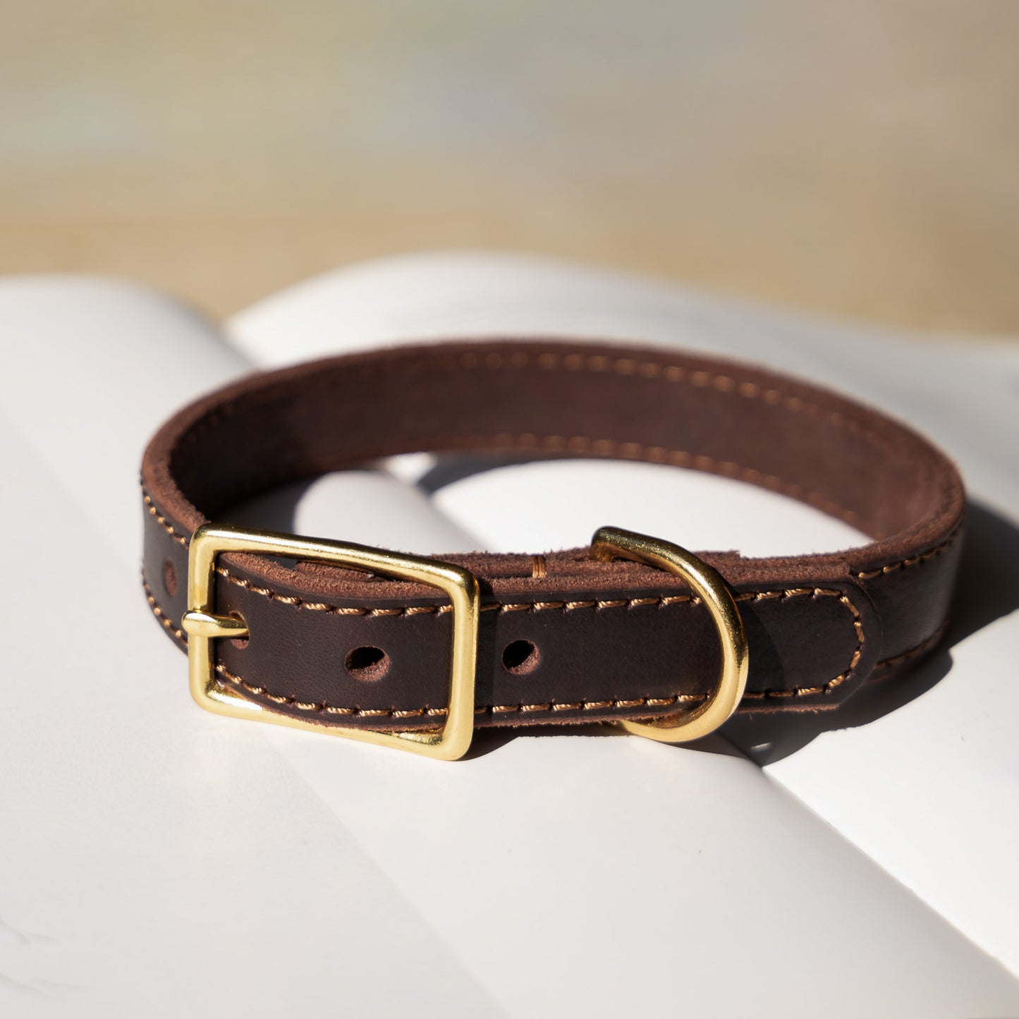 Classic Leather Collar