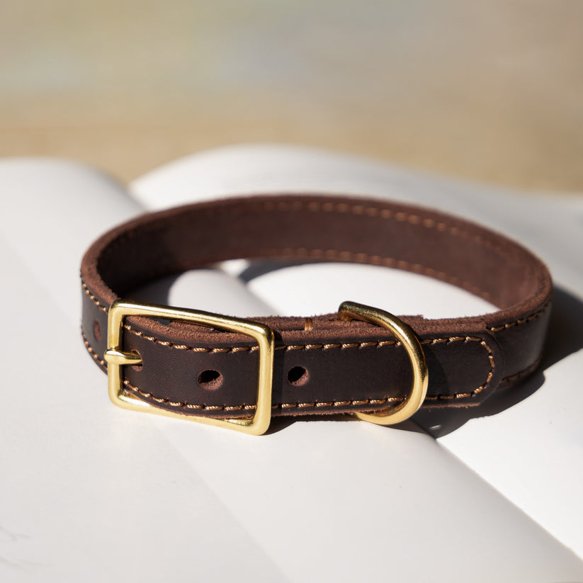 Classic Leather Collar – Pointer & Hound