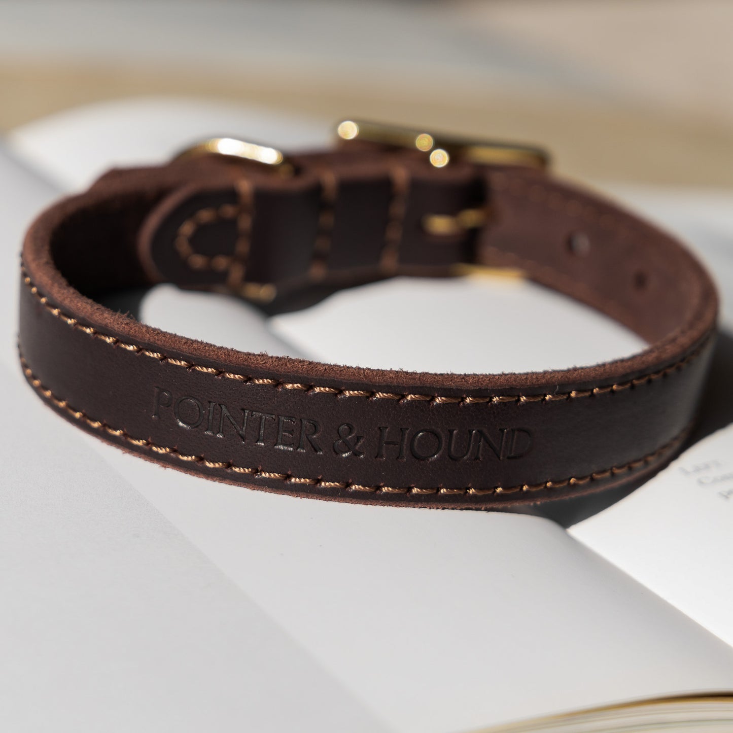 Classic Leather Collar