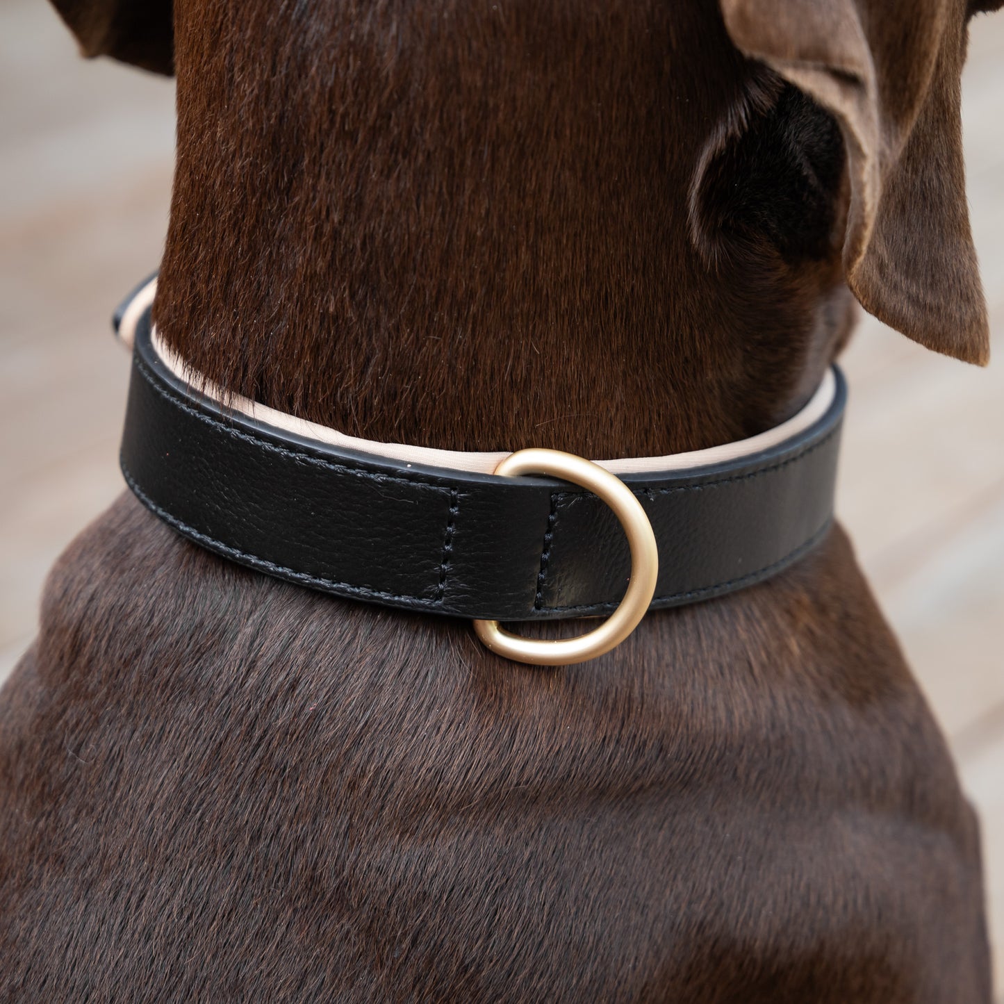 Padded Leather Collars