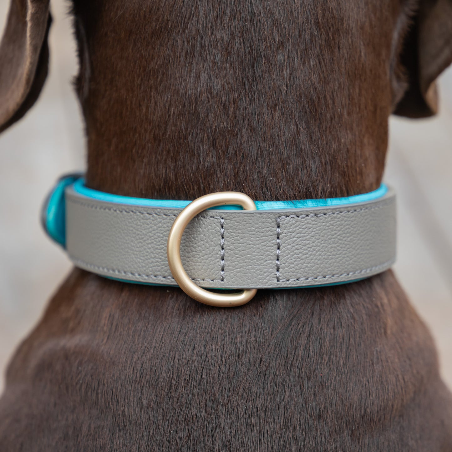 Padded Leather Collars