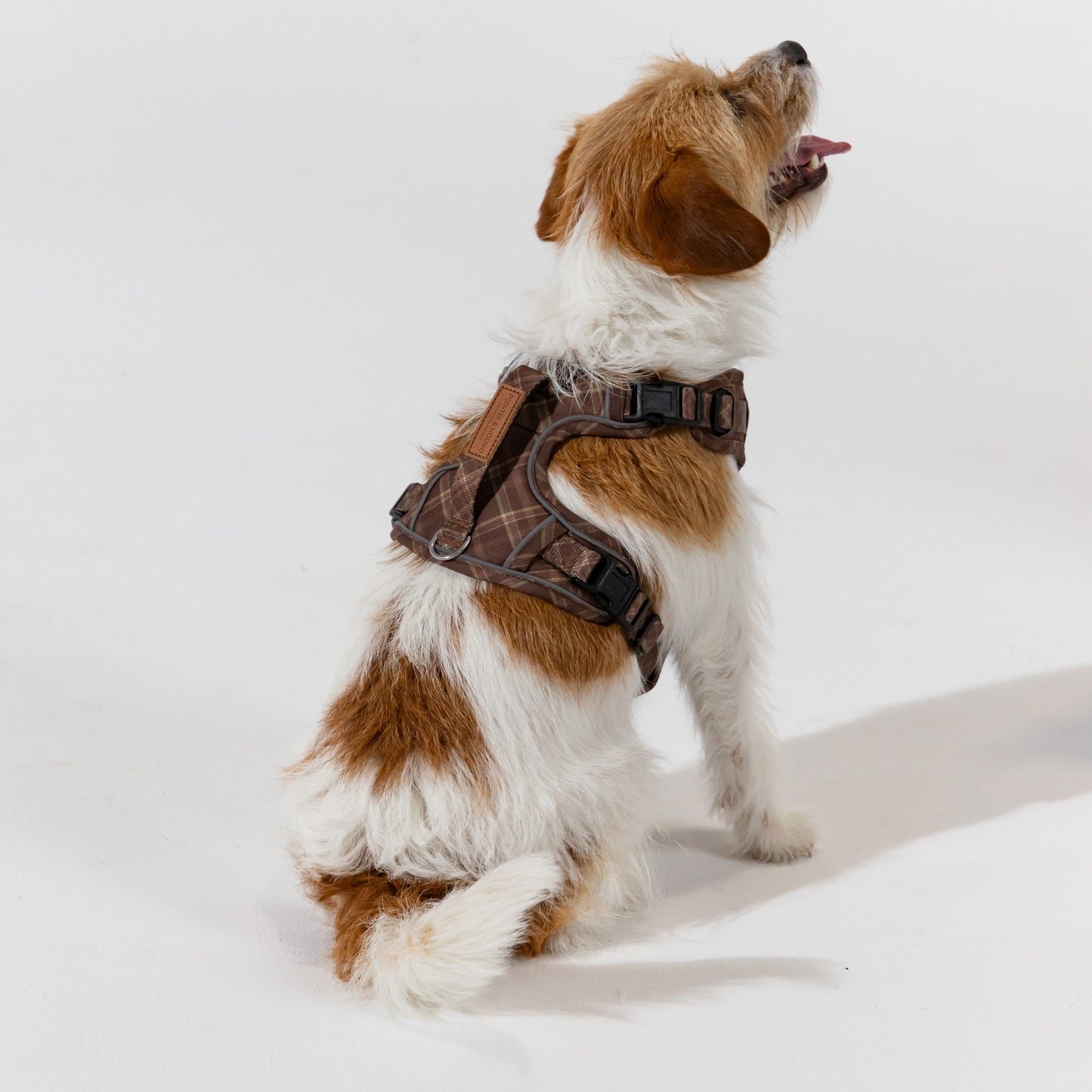 Signature Harness - Brown Tartan