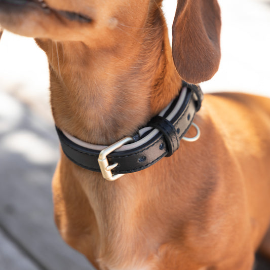 Padded Leather Collars
