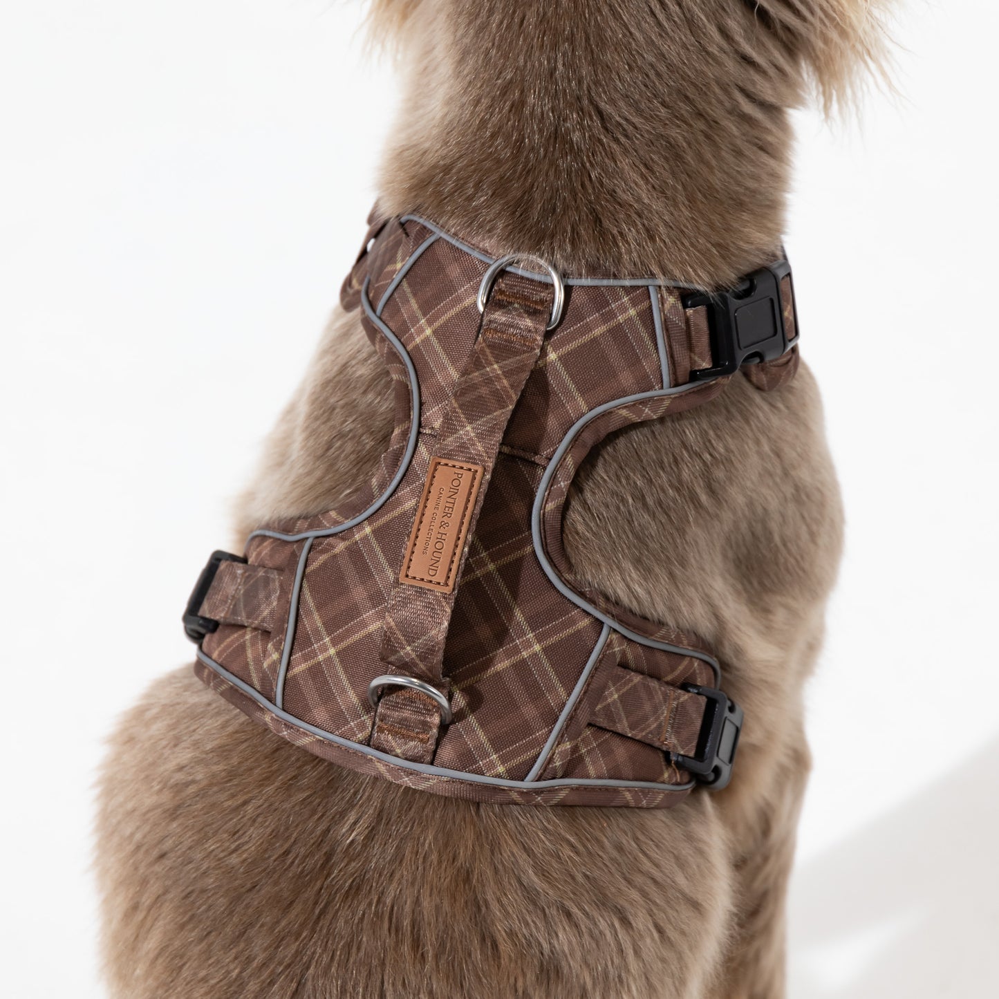 Signature Harness - Brown Tartan