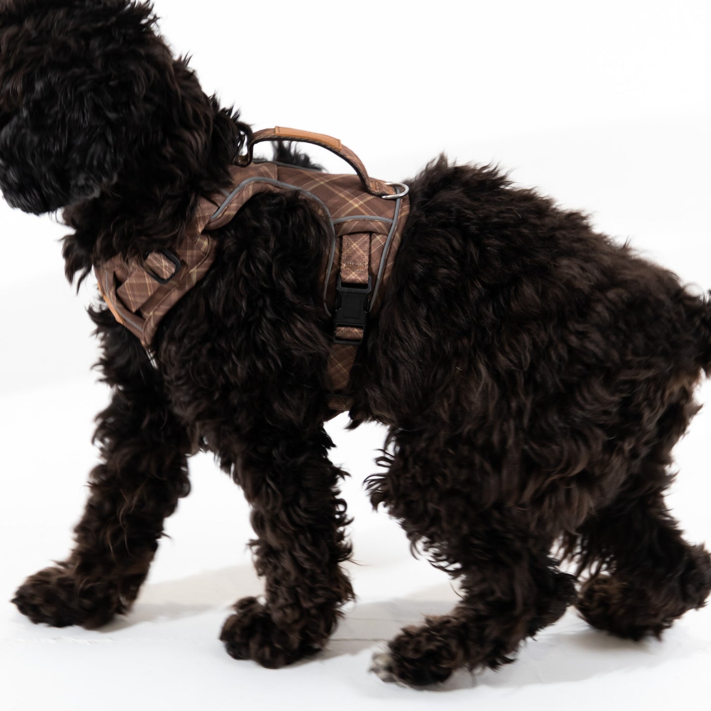 Signature Harness - Brown Tartan