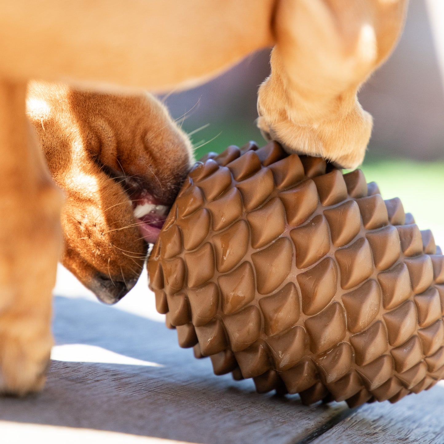 Pinecone Toy