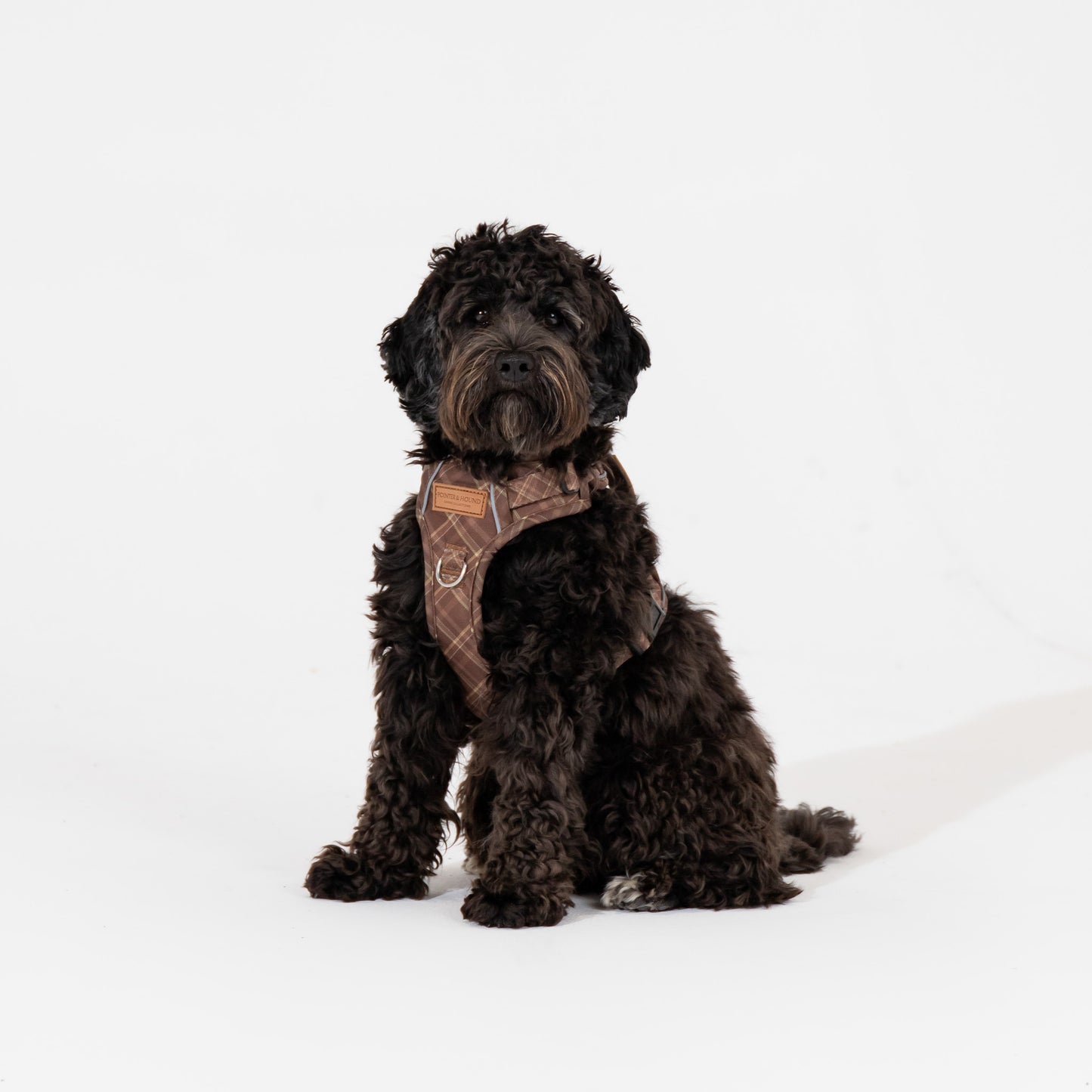 Signature Harness - Brown Tartan